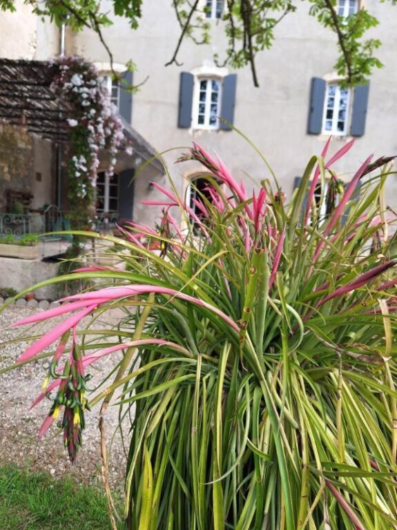 나르본 Domaine De Capoulade B&B 외부 사진