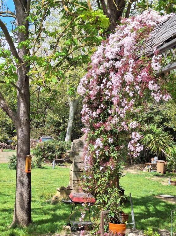 나르본 Domaine De Capoulade B&B 외부 사진